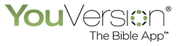 YV-Logo-250x66-Light-en